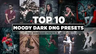 Lightroom Mobile Top 10 Moody Dark Presets🔥| Lightroom Mobile Free Dng Presets Download | Top Preset