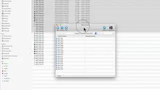 MAC NameChanger   Batch Rename MANY Files