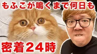 [Covering closely] I can't stop until Mofuko meows!! Then, it took a long time lol