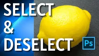 How to Select and Deselect in Photoshop:  A Basic Knowledge About Selections