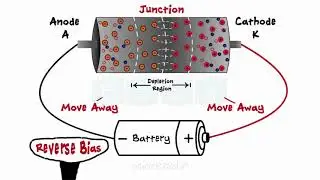 Diodes - What Are Diodes - PN Junction - Forward Bias - Reverse Bias - Zener Diodes