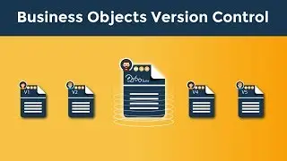 Business Objects Version Control