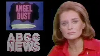 ABC Network - ABC Evening News - WLS Channel 7 (Complete Broadcast, 10/13/1977) 📺