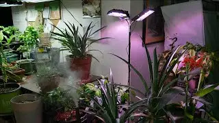 Review On the ACKE LED Floor Grow Lamp