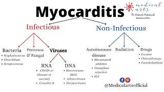 myocarditis explained - heart muscle inflammation - definition, types, causes, symptoms, treatment