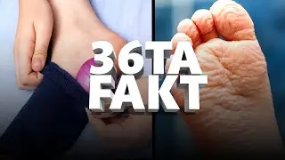 Inson Tanasi Haqida Hayratlanarli 36 Fakt
