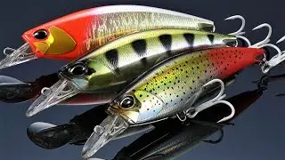 Beast Shad: The Realis Fangshad 140SR explained in 1 minute !