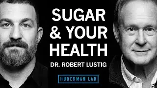 Dr. Robert Lustig: How Sugar & Processed Foods Impact Your Health