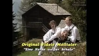 Original fidele Mölltaler - Eine Herde weißer Schafe - 1989