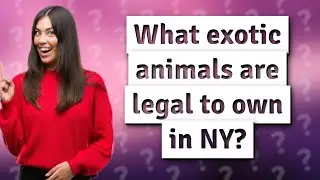 What exotic animals are legal to own in NY?