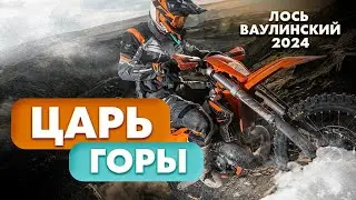 ЦАРЬ ГОРЫ 👑| ЛОСЬ ВАУЛИНСКИЙ 2023