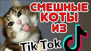 тик ток лучшее 2021 
