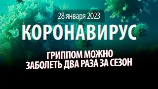 28 января 2023. Заболеть гриппом можно дважды за сезон. Статистика коронавируса в России на сегодня