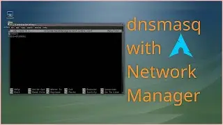 dnsmasq with Network Manager ! Arch Linux | Two Methods