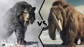 Saber-Toothed Tiger vs Mammoth – Who Ruled the Prehistoric Landscapes?