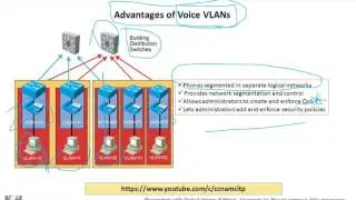 Advantages of Voice VLANs !! Hindi !!