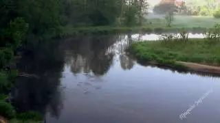BIRD SINGING with Nature Sounds and MIST ABOVE WATER | Beautiful Nature Morning on the Neman River