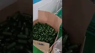 Pabrik Botol HNI