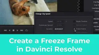 How to quickly and easily create a Freeze Frame in Davinci Resolve