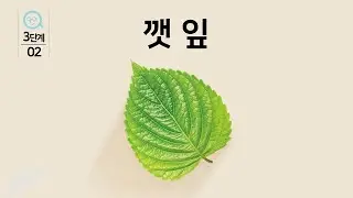 안다과학 2호3단계 도감 깻잎