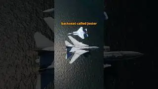F-14 Tomcat AI Backseater is Actually Useful! 