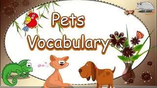 Learn Names of Pets for Kids -Kindergarten and Preschool