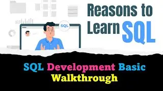 DAY#8: SQL Server Development Walkthrough