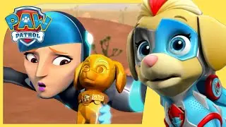 Mighty Pups Stop Lad Bird and MORE | PAW Patrol | Cartoons for Kids