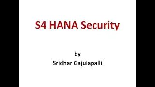 What is S4 Hana Security ???