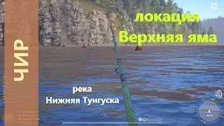 Русская рыбалка 4 - река Нижняя Тунгуска - Чир на другой стороне реки