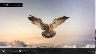 Particle Builder - Example Scene: Eagle
