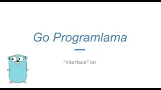 Go programlama interface (golang)