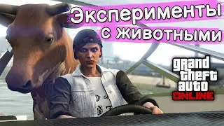 Эксперименты с животными в GTA Online