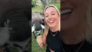 Клава Кока — Новая песня Катастрофа 😍😍