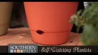 Self-Watering Planters