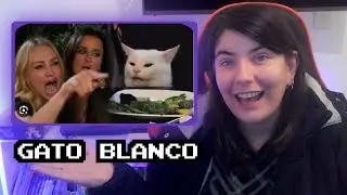 LOS MEJORES MEMES DEL GATO BLANCO #1
