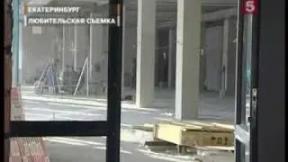 СТАЮ СОБАК ЗАМУРОВАЛИ В ПОДВАЛЕ