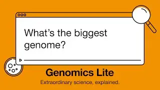 Genomics Lite: What's the biggest genome?