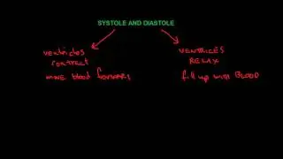 systole and diastole