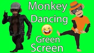 Dancing Monkey Green Screen | Green Screen Chroma Key No copyright | Monkey Dancing Green Screen 😃