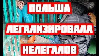 ПОЛЬША ЛЕГАЛИЗИРОВАЛА НЕЛЕГАЛОВ!!! ЗАКОН ОТ 16.04.2020.