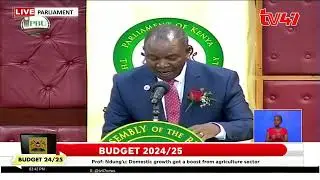 Government to roll e-governmnet procurement system: CS Njuguna Ndung'u  | Budget 2024/2025