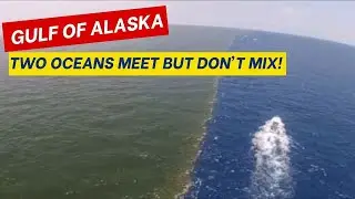 Gulf of Alaska: Where Two Oceans Meet but Don't Mix! #gulfofalaska