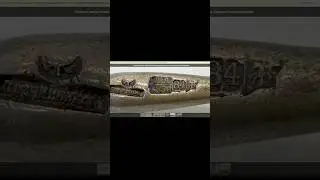 2 серия. Блохи антикварного ареала.