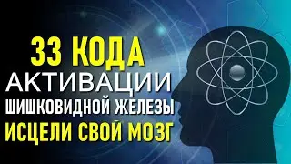 33 Кода активации шишковидной железы. ИСЦЕЛИ СВОЙ МОЗГ