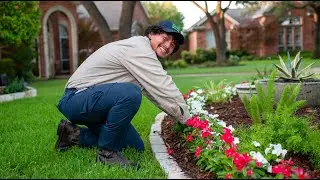 Introducing Seasonal Landscape Bed Maintenance