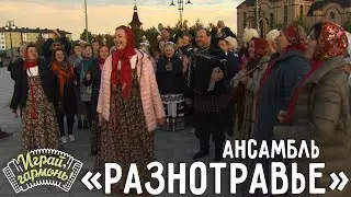 Головушка заболела.. | Ансамбль «Разнотравье» (г. Тарко-Сале, ЯНАО) | Играй, гармонь! | @igraygarmon