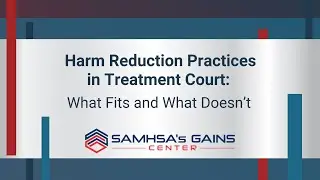 Harm Reduction Practices in Treatment Courts