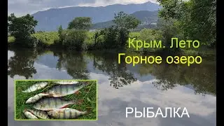 Горное озеро. Рыбалка