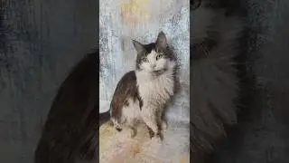 Домовёнок Кузя. Где его семья? 